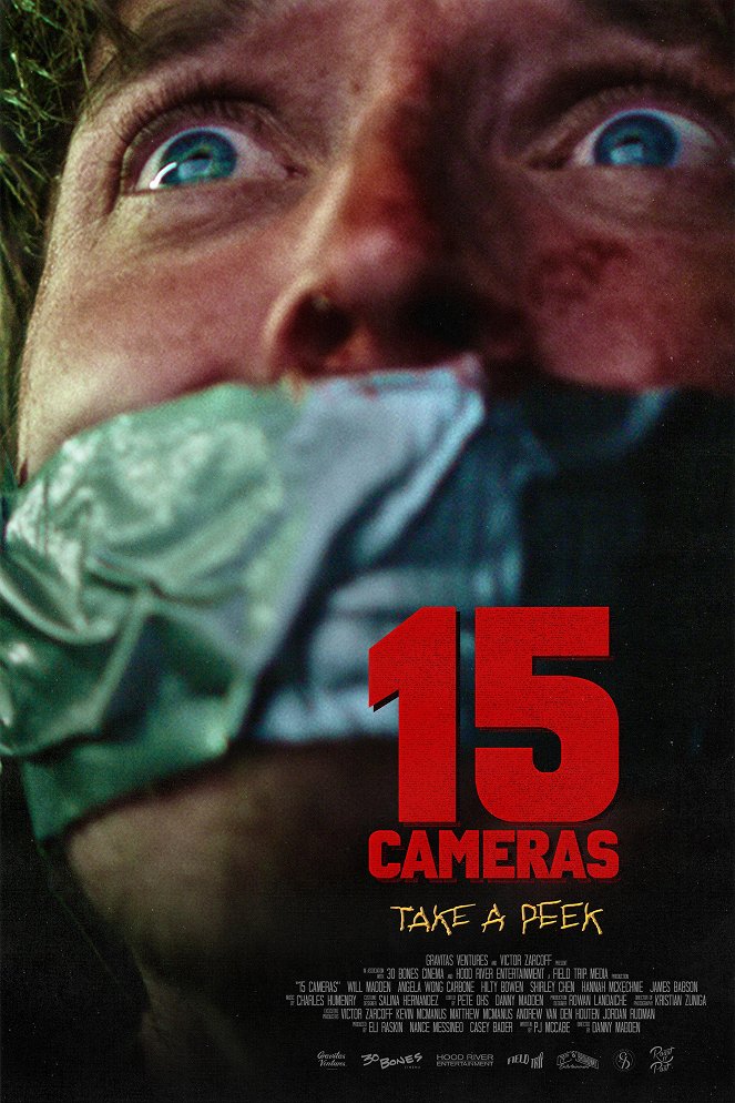 15 Cameras - Plakaty