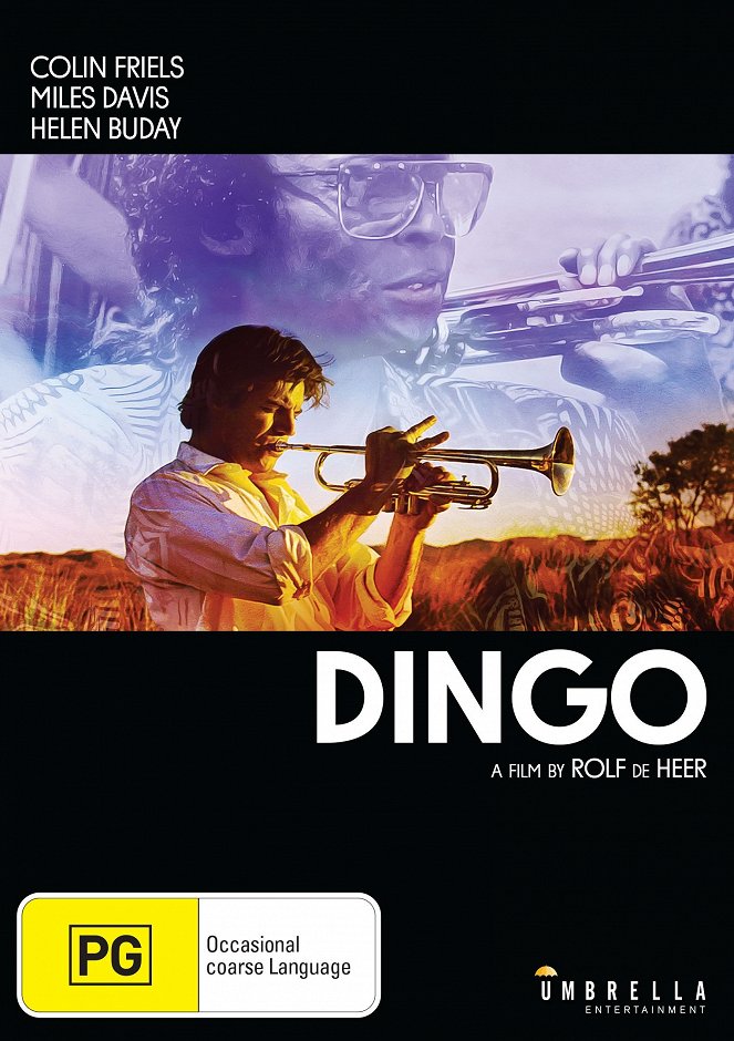 Dingo, chien du désert - Affiches
