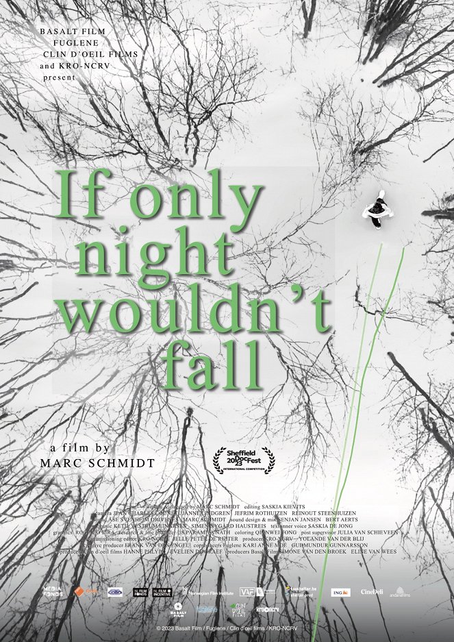 If only night wouldn't fall - Posters