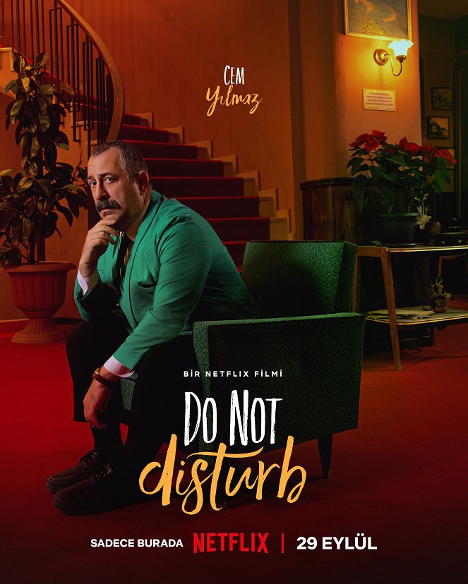 Do Not Disturb - Posters