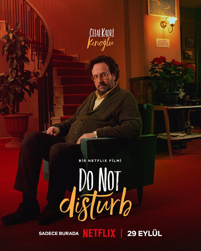 Do Not Disturb - Posters