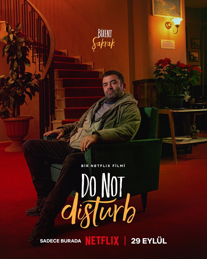 Do Not Disturb - Affiches
