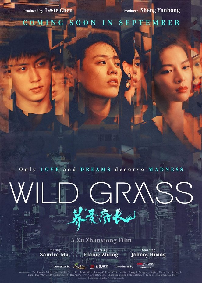 Wild Grass - Posters