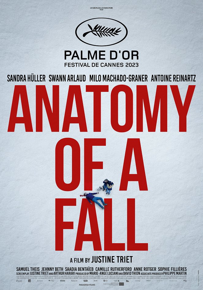Anatomy of a Fall - Posters