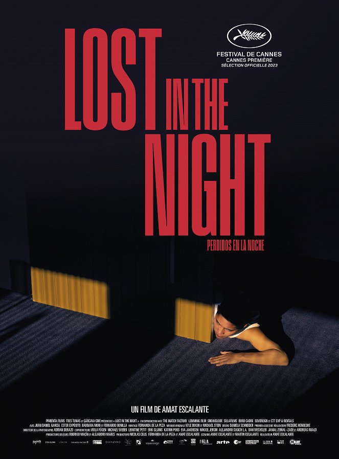 Lost in the Night - Affiches