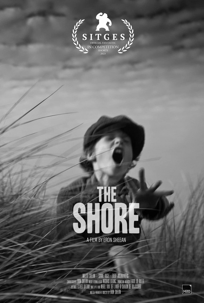 The Shore - Affiches