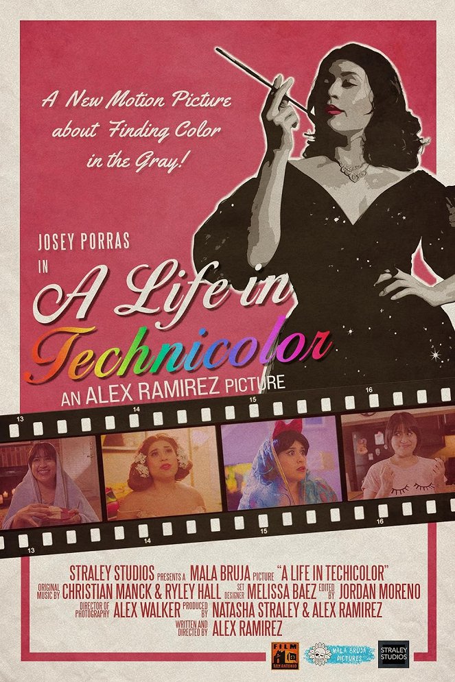 A Life in Technicolor - Affiches