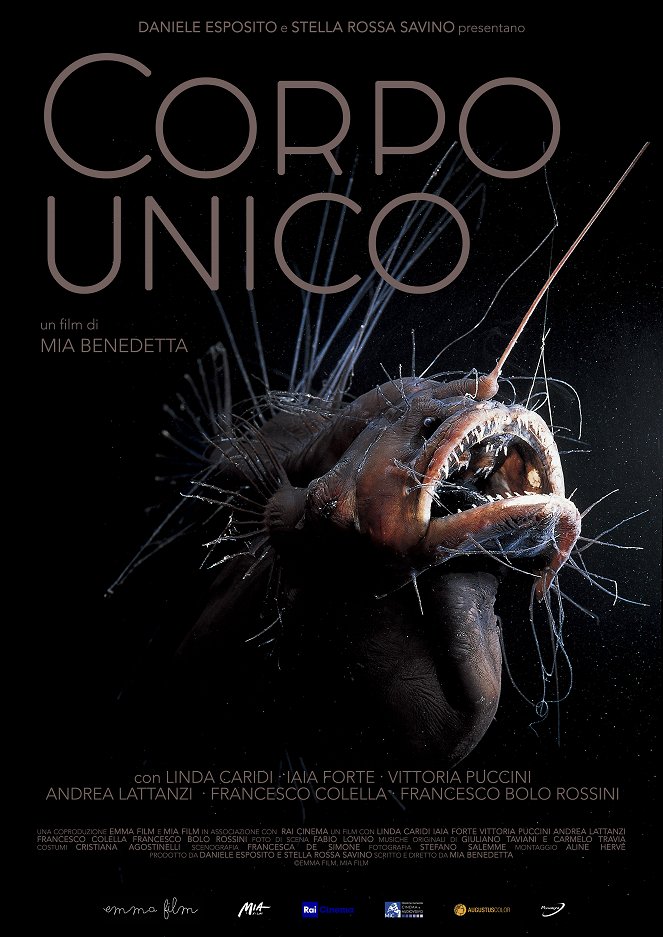 Corpo unico - Plagáty