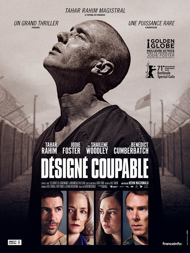 Désigné Coupable - Affiches