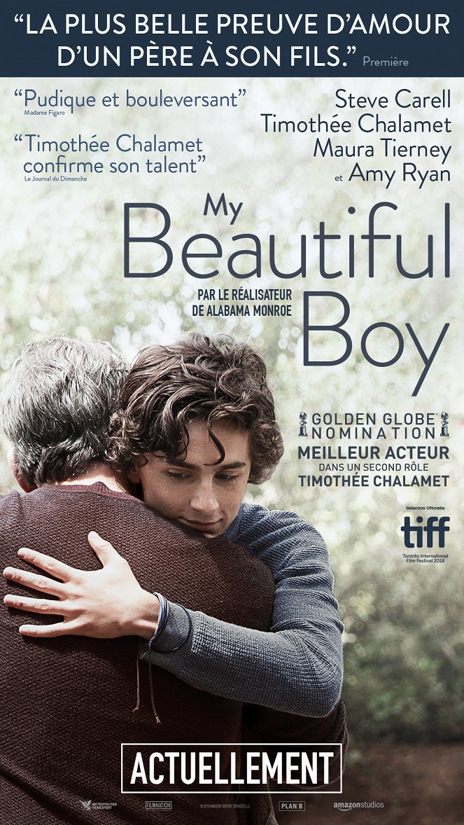 My Beautiful Boy - Affiches