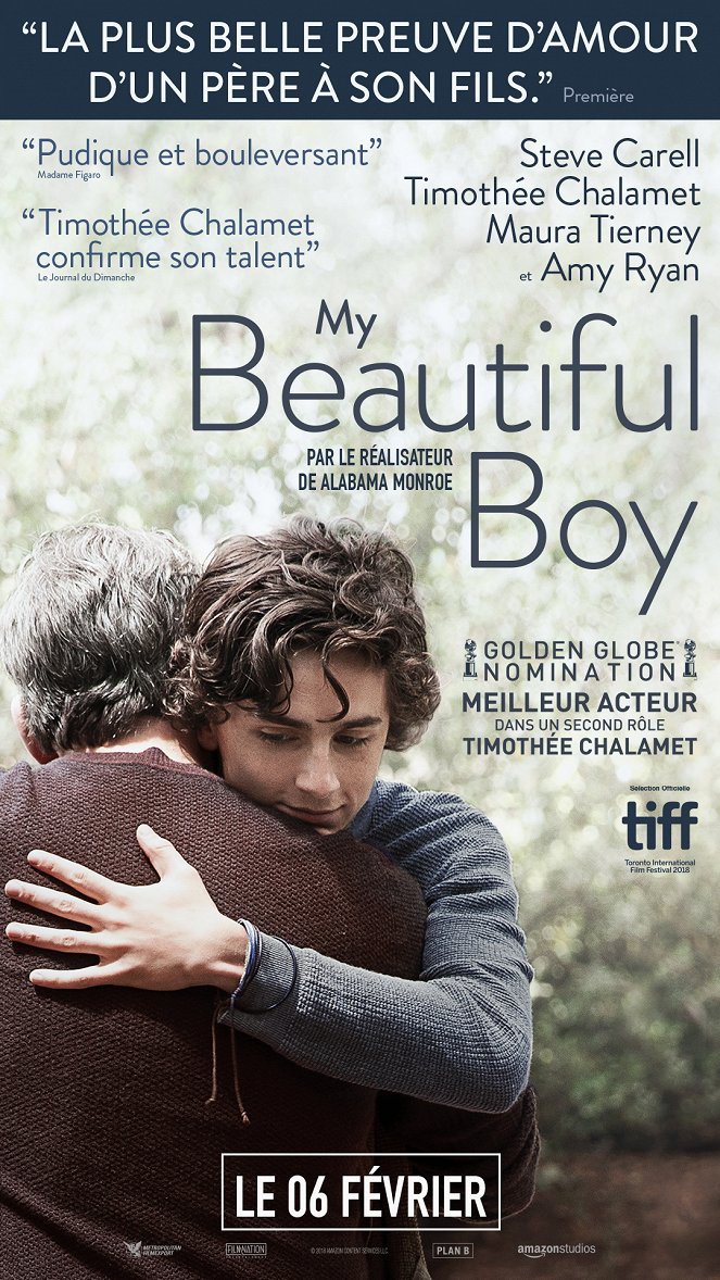 My Beautiful Boy - Affiches