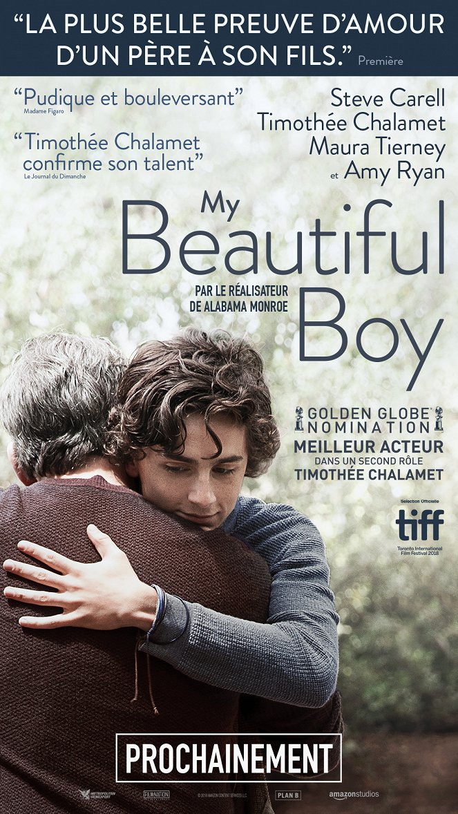 My Beautiful Boy - Affiches