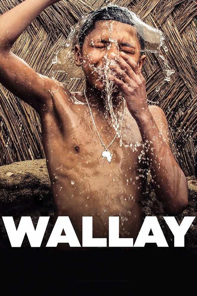 Wallay - Carteles