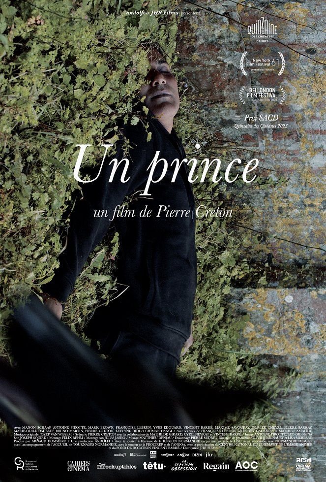 Un prince - Plakate