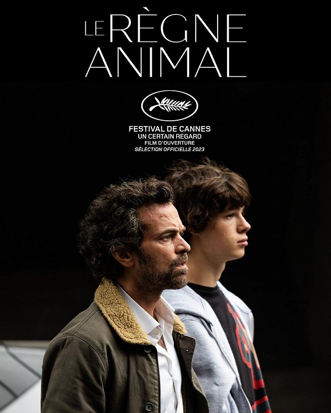 Animalia - Plakate