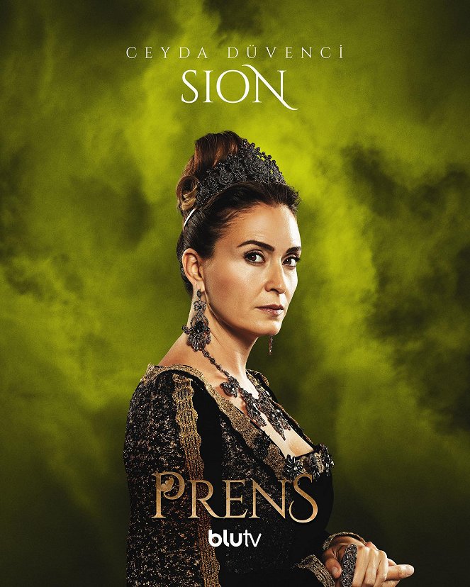 Prens - Plakate