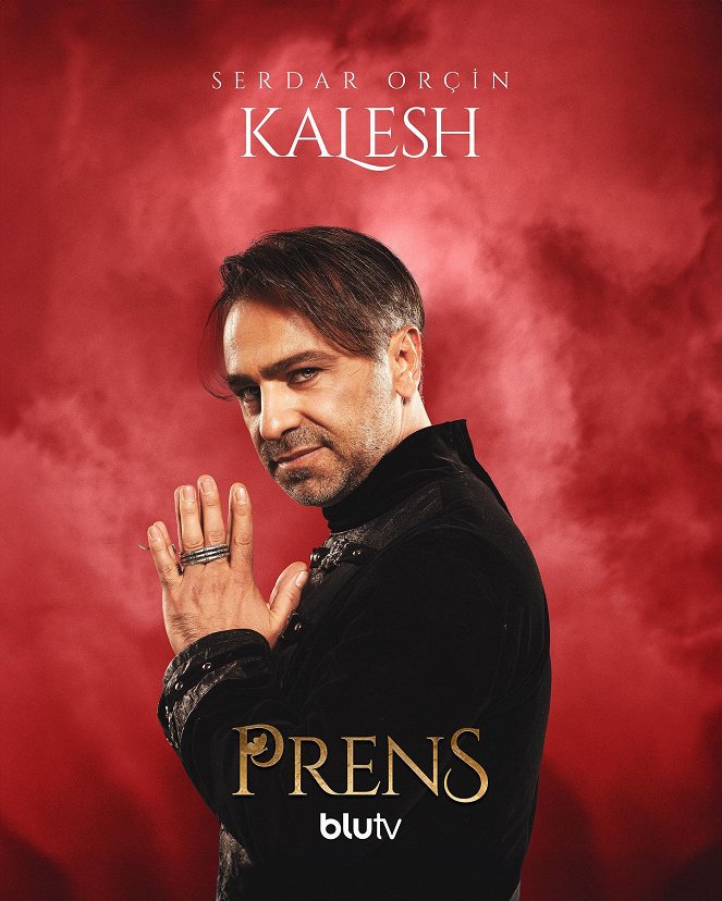 Prens - Plakate