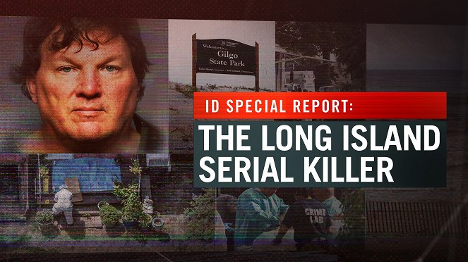 Zvláštní identifikační zpráva: Sériový vrah z Long Islandu - Plakáty