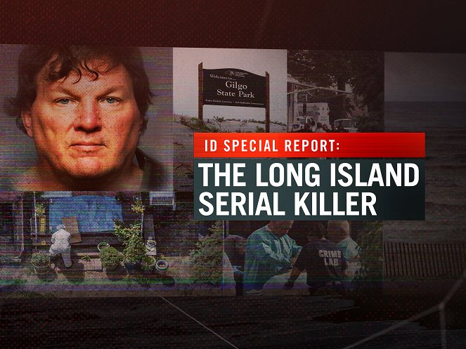 ID különjelentés: A Long Island-i sorozatgyilkos - Plakátok