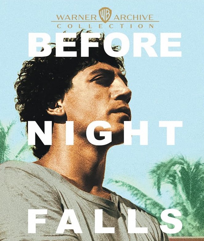 Before Night Falls - Posters