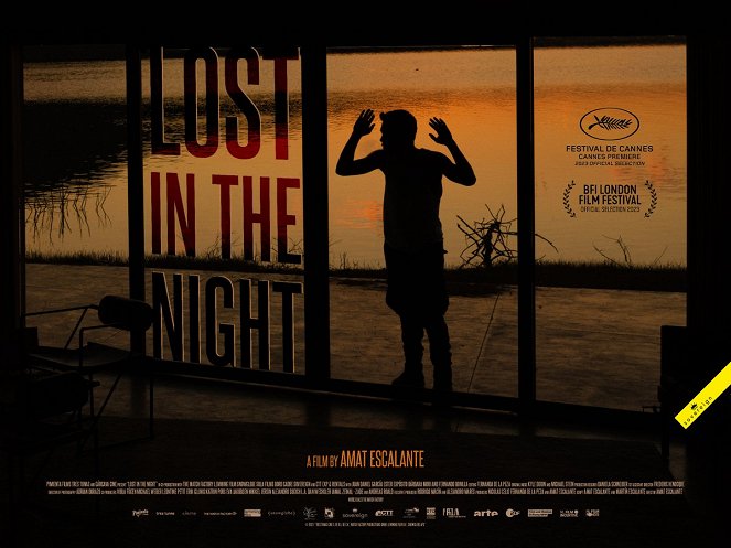 Lost in the Night - Posters