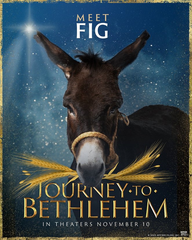 Journey to Bethlehem - Plagáty