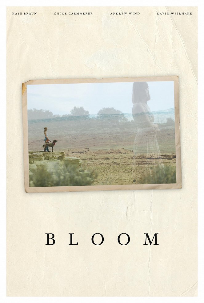 Bloom - Plakate