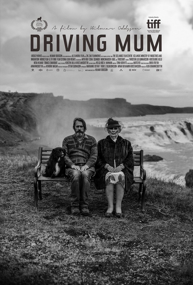 Driving Mum - Posters