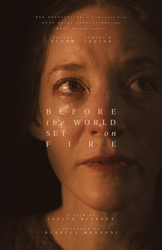 Before the World Set on Fire - Affiches