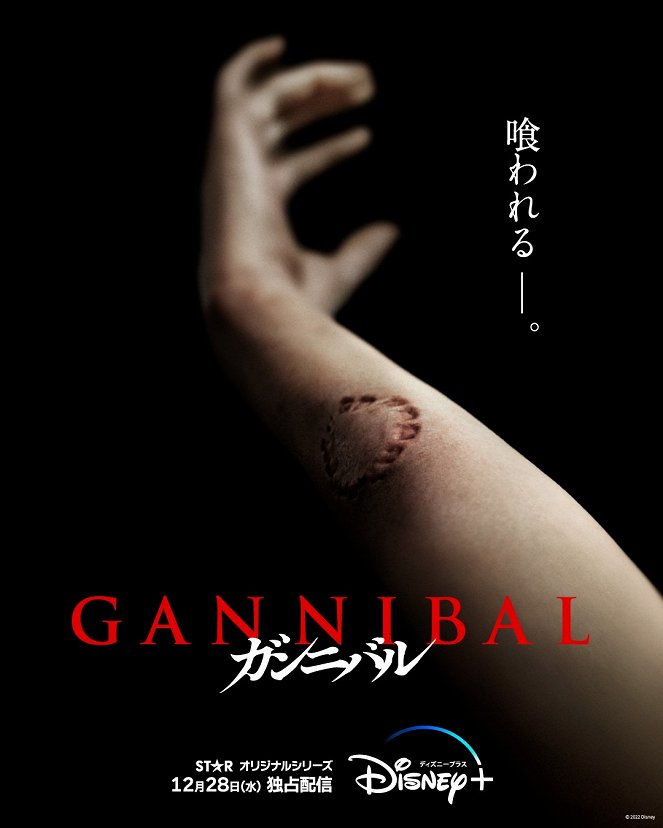 Gannibal - Plakátok