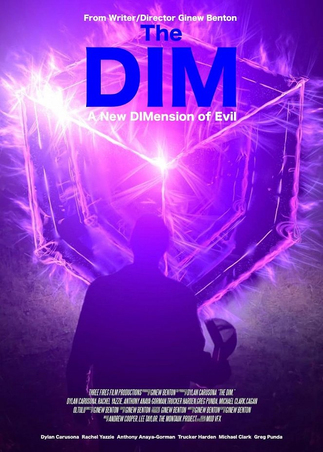 The Dim - Posters
