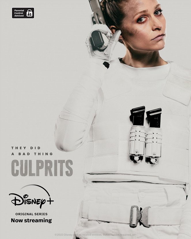 Culprits - Posters