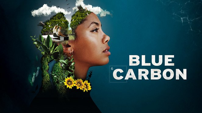 Blue Carbon - Die Superkraft der Natur - Plakaty