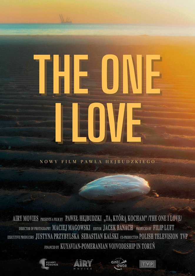 The One I Love - Posters