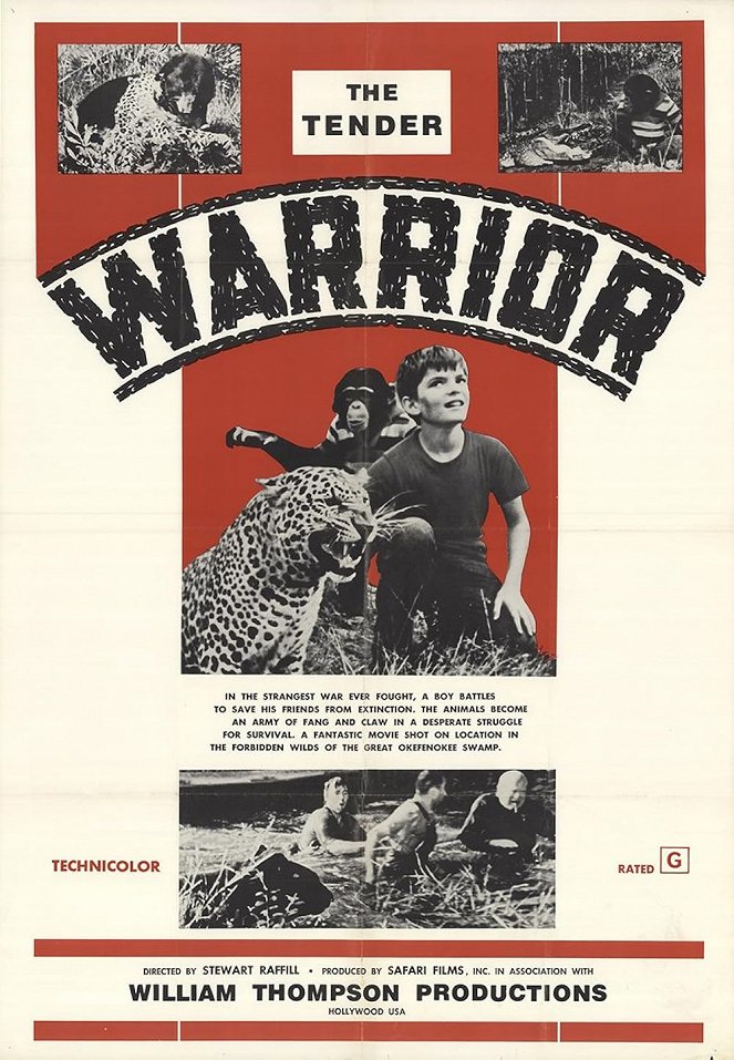 The Tender Warrior - Plakáty