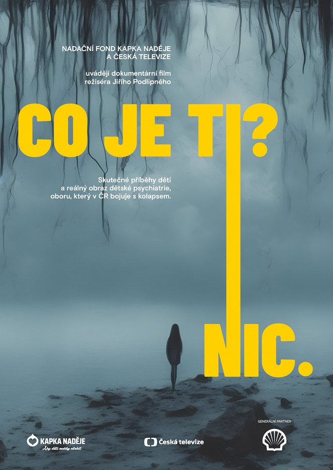 Co je ti? Nic. - Affiches