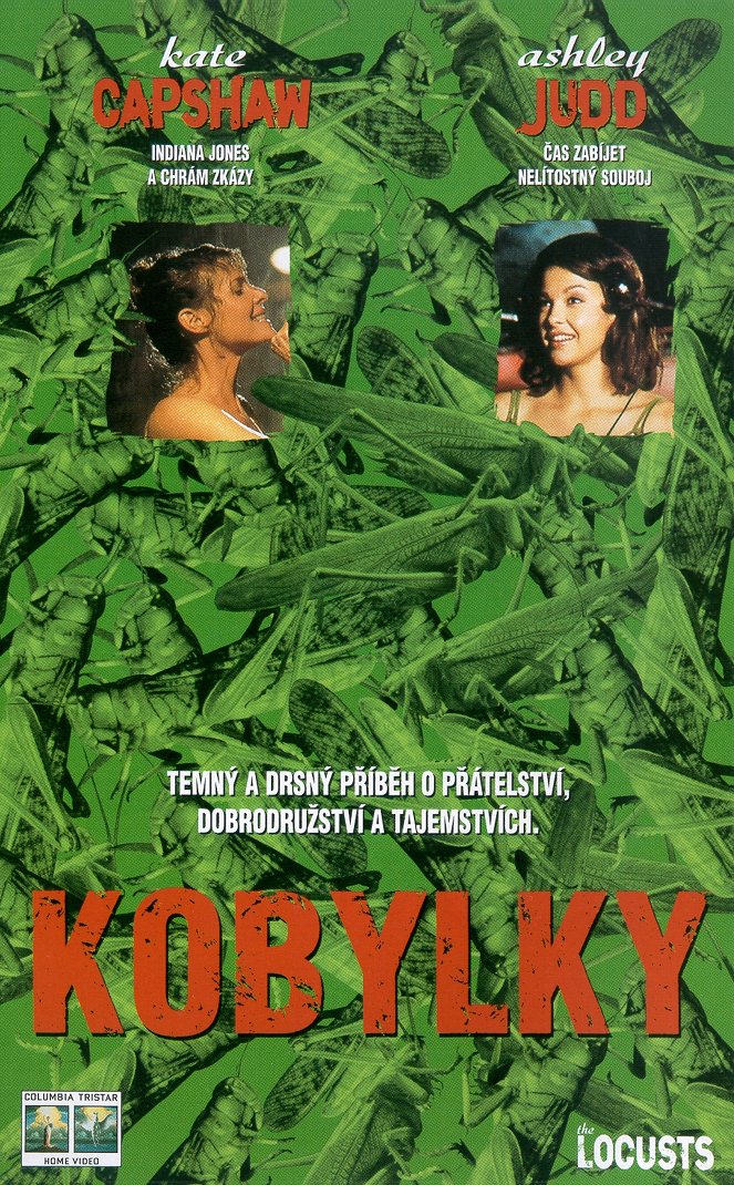 Kobylky - Plakáty