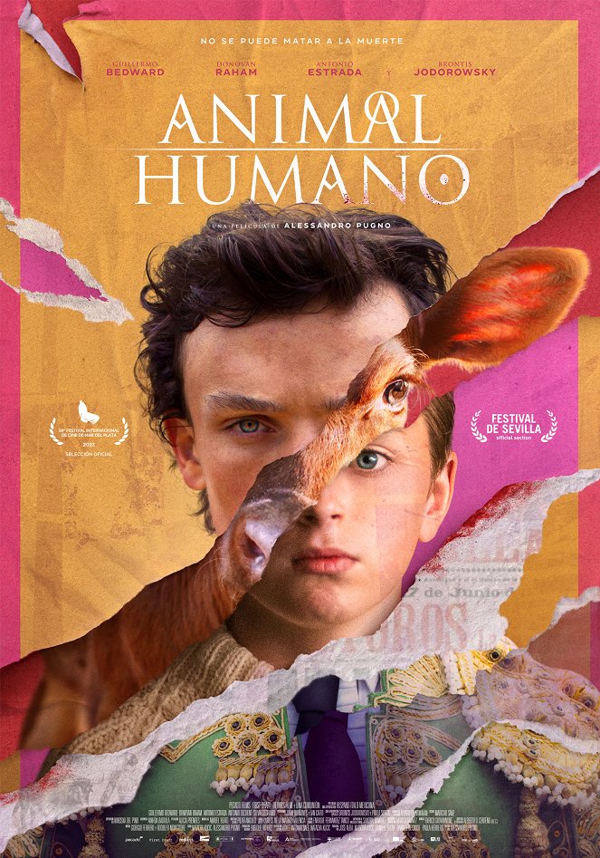Animal/Humano - Posters