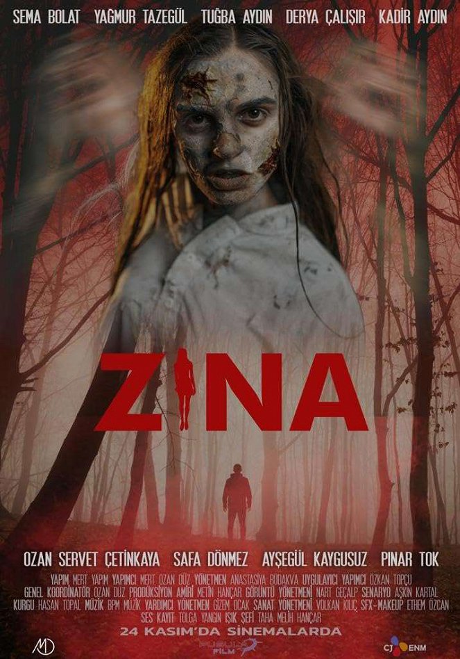 Zina - Plakaty