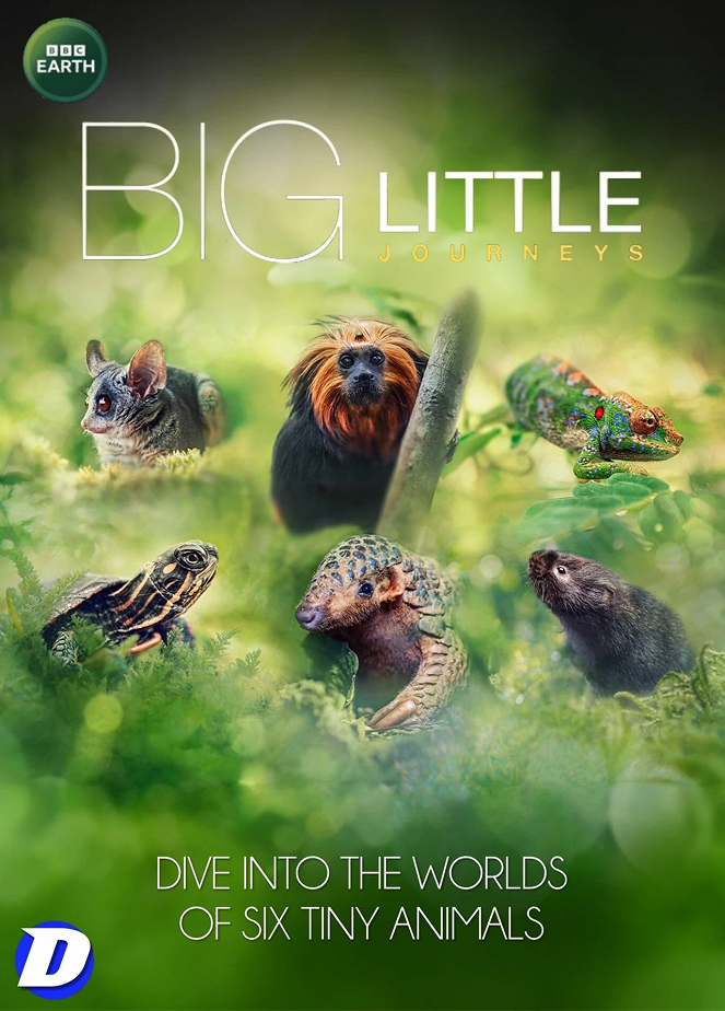 Big Little Journeys - Carteles