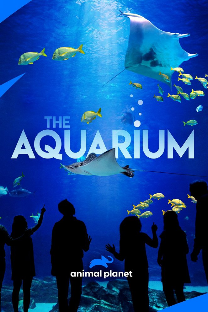 The Aquarium - Plakaty
