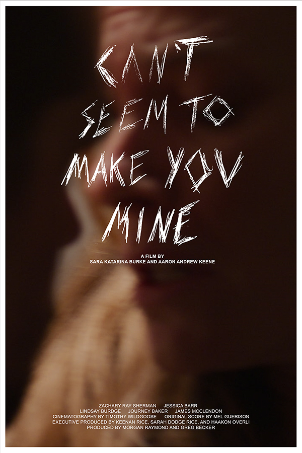 Can't Seem to Make You Mine - Plakate