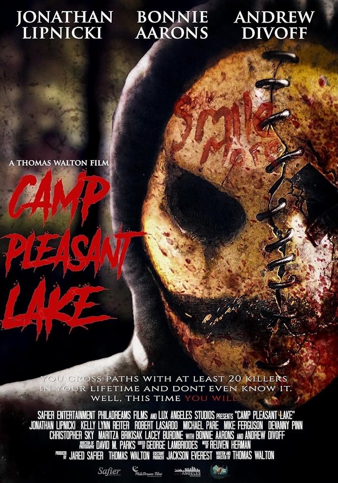 Camp Pleasant Lake - Plakate