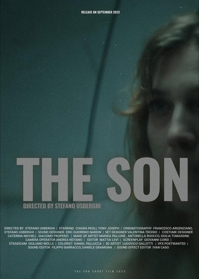 The Son - Plakáty