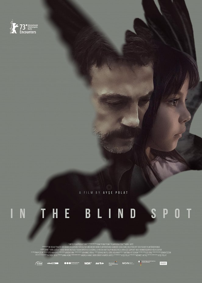 In the Blind Spot - Posters