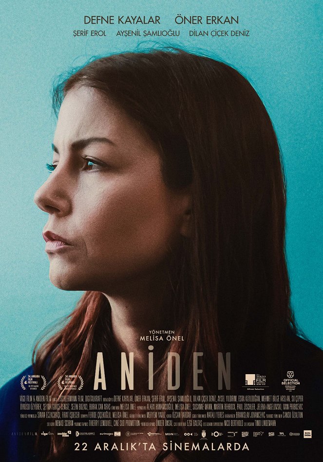 Aniden - Carteles