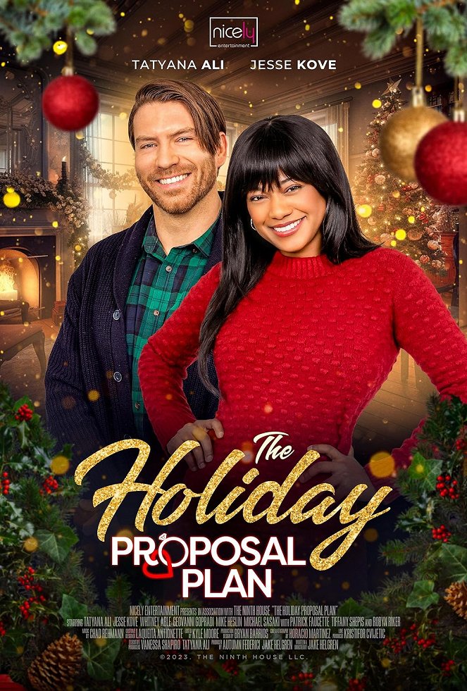 The Holiday Proposal Plan - Carteles