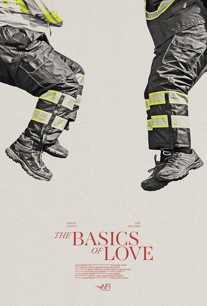 The Basics of Love - Affiches