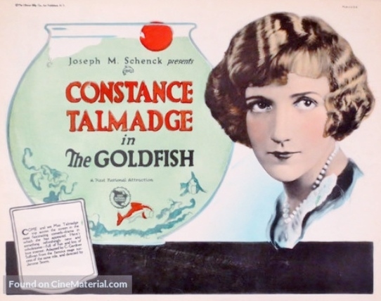 The Goldfish - Plakate
