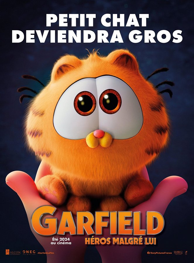 Garfield : Héros malgré lui - Affiches